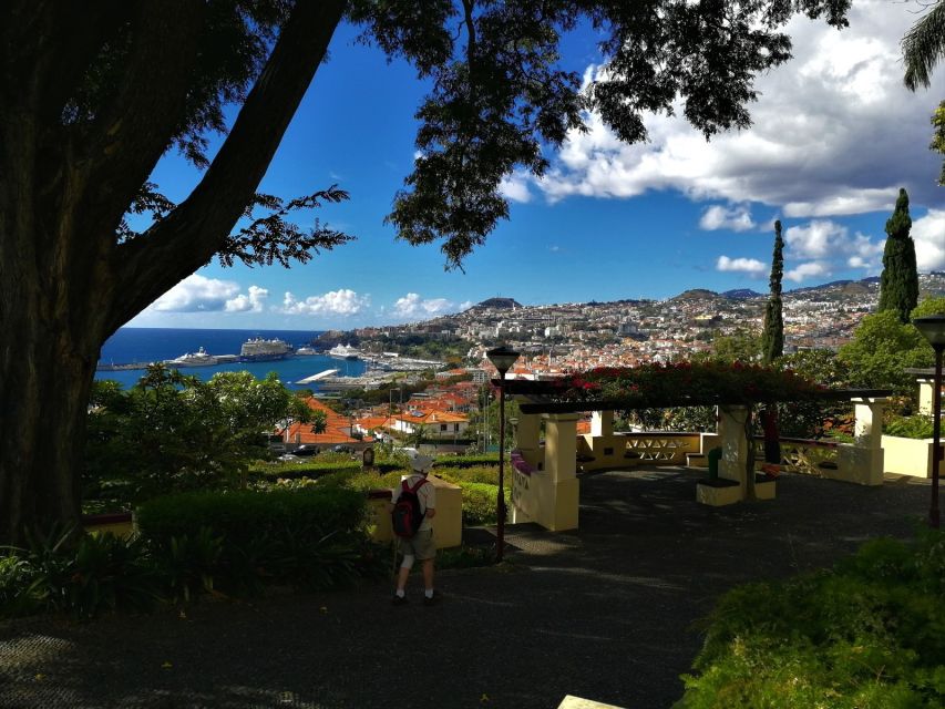 Madeira: Private Funchal City Tour in a Tukxi - Key highlights worth planning for