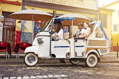 Madeira: Private Funchal City Tour in a Tukxi - The ride itself: electric Tukxi vibes and practical comfort