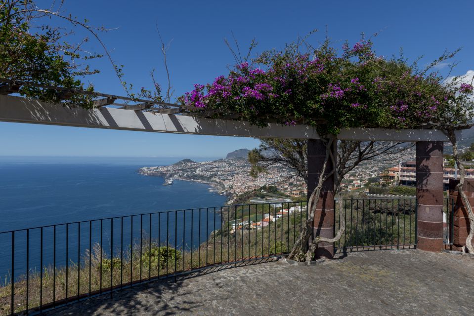Madeira: Private Garajau Tour by Tukxi - What you learn on the way: Blandy winemaking and island context