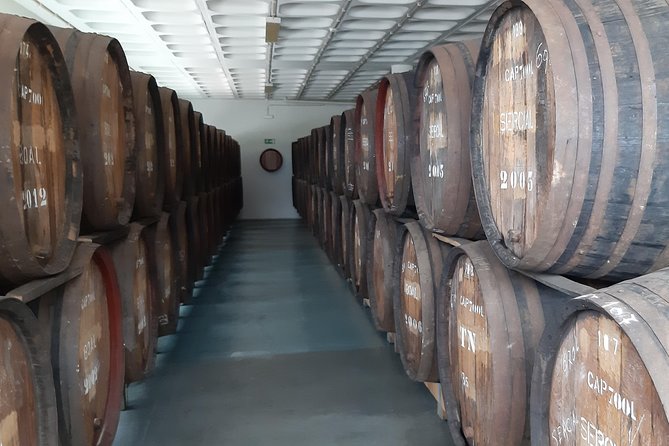 Madeira: Private Half-Day Wine Tasting Tour - Why this half-day tour feels more like a tailored afternoon