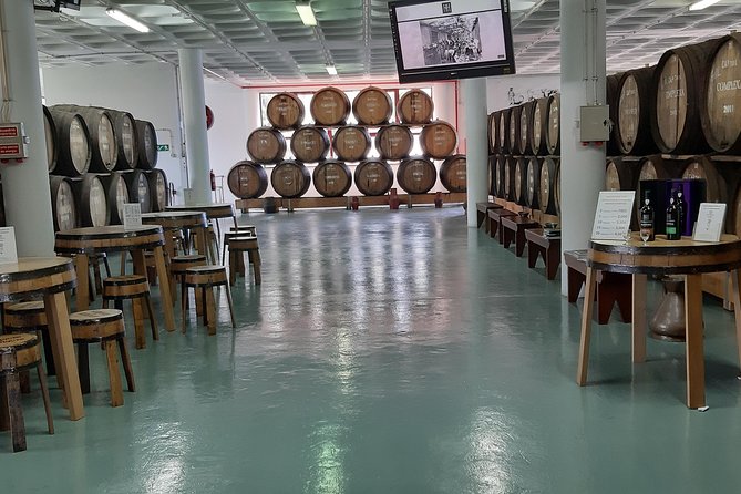 Madeira: Private Half-Day Wine Tasting Tour - Timing and pacing: a private tour, but not a long one