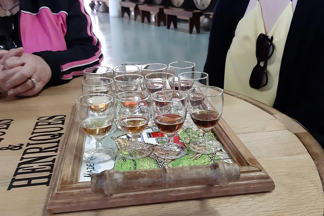 Madeira: Private Half-Day Wine Tasting Tour - Guides, delivery, and how to get the most out of it