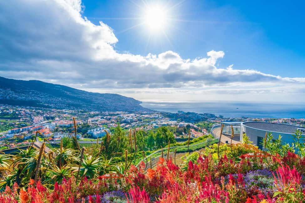 Madeira: Private Tour for Cruise Ship Passengers - Price and value: what $235 per group buys you (and when it’s worth it)