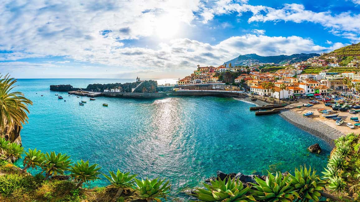 Madeira: Private Tour for Cruise Ship Passengers - Your driver and the “no fixed route” promise