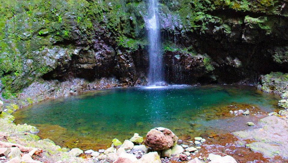 Madeira: Queimadas, Caldeirão Verde and Levada Walk - Key Things to Know Before You Hike