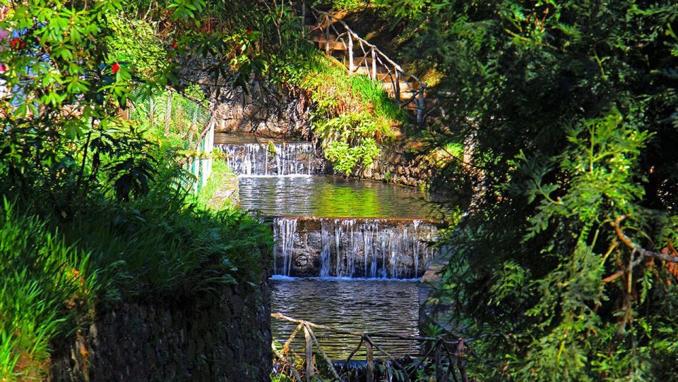 Madeira: Queimadas, Caldeirão Verde and Levada Walk - Price and Value: What About $50 Buys You for 8 Hours