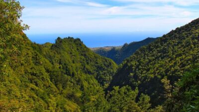 Madeira: Queimadas, Caldeirão Verde and Levada Walk - Starting From Queimadas Guest House and Finding the Trail Rhythm