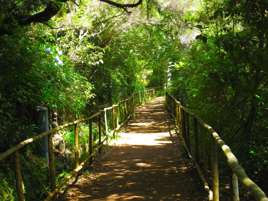 Madeira: Queimadas, Caldeirão Verde and Levada Walk - Along the Levada: Waterfall Moments and Small Tunnels