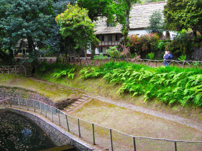 Madeira: Queimadas, Caldeirão Verde and Levada Walk - Guide Charlotte Style: Learning About Plants and Wildlife on the Move