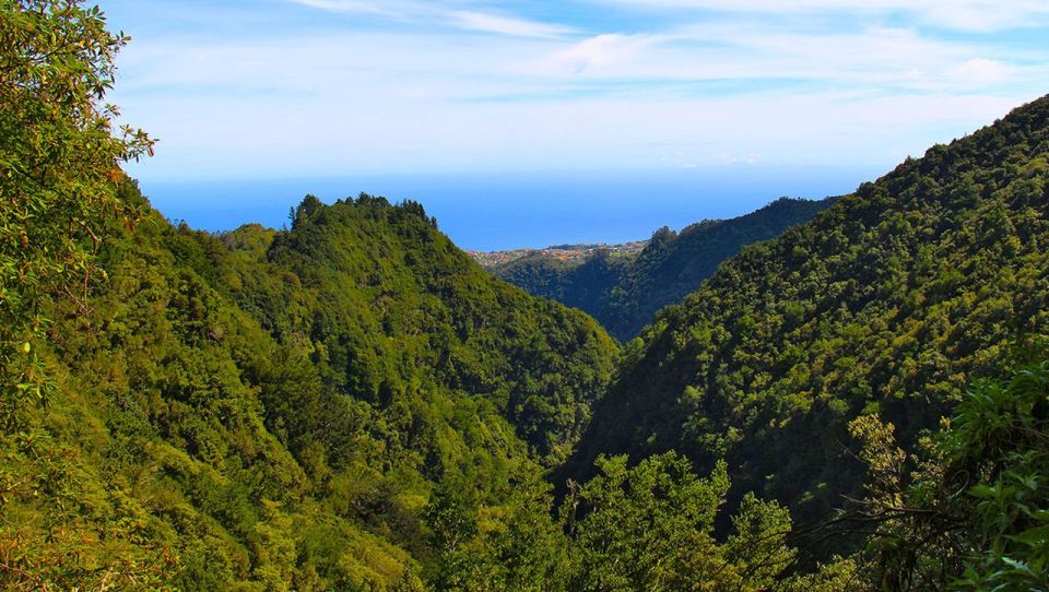 Madeira: Queimadas, Caldeirão Verde and Levada Walk - Starting From Queimadas Guest House and Finding the Trail Rhythm