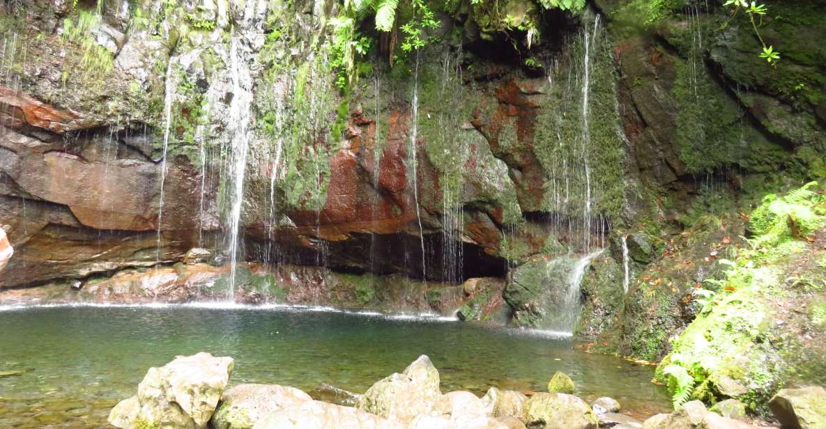 Madeira: Rabaçal, Risco and 25 Fontes Guided Hiking Tour - Key highlights that make this hike worth your time