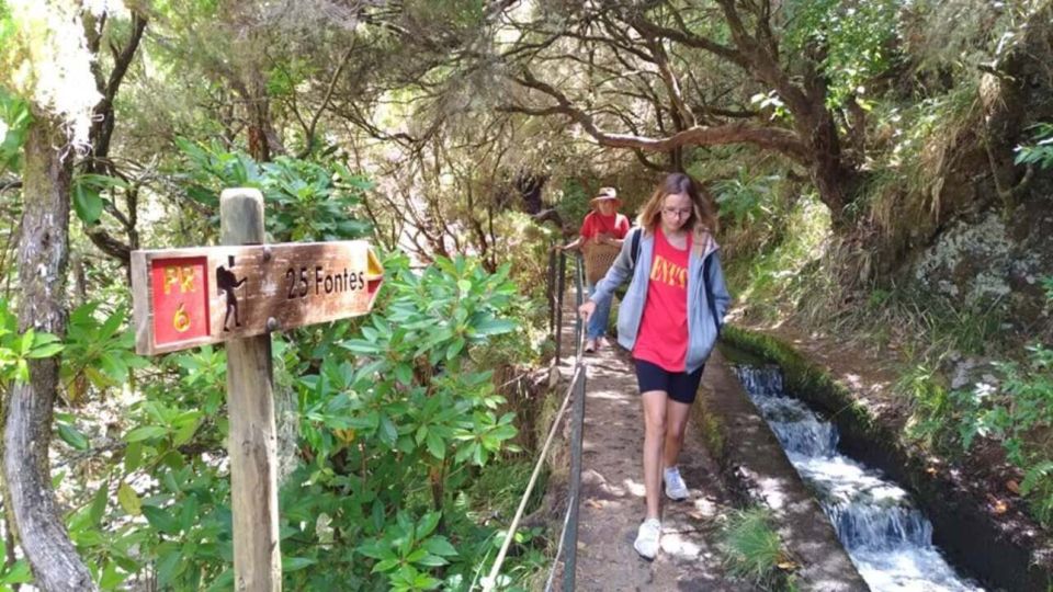 Madeira: Rabaçal, Risco and 25 Fontes Guided Hiking Tour - Why the Rabaçal–25 Fontes day feels special on Madeira