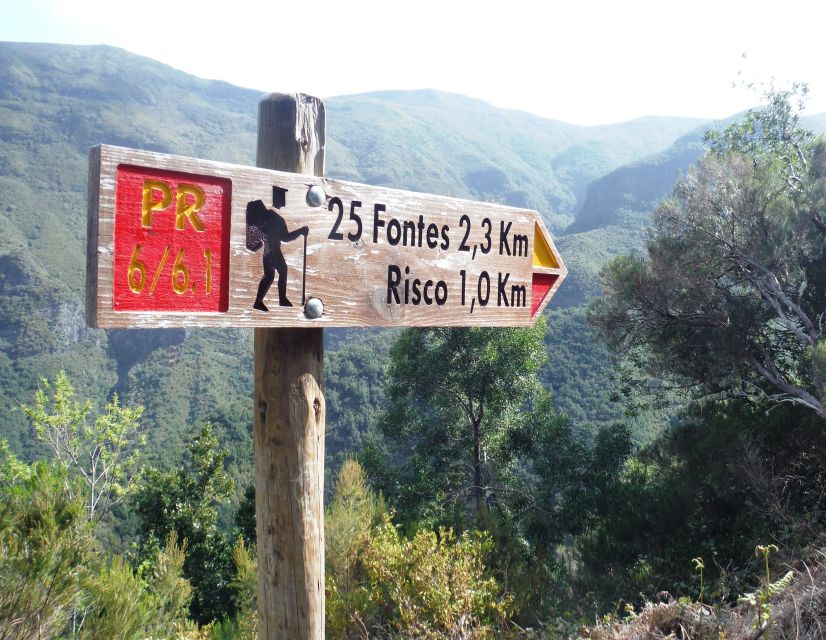 Madeira: Rabaçal, Risco and 25 Fontes Guided Hiking Tour - Levada do Risco: waterfall payoff and the first taste of the forest