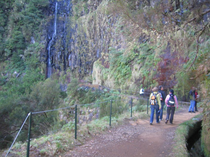 Madeira: Rabaçal, Risco and 25 Fontes Guided Hiking Tour - Footwear and pacing: moderate is not the same as easy