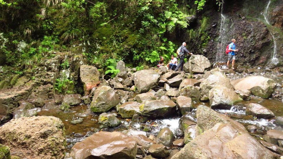 Madeira: Rabaçal, Risco and 25 Fontes Guided Hiking Tour - Price and value on a Madeira levada hike