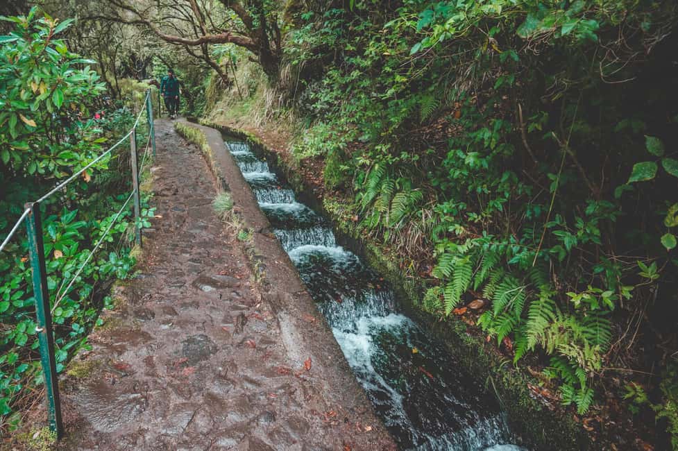 Madeira: Rabaçal Valley and the 25 Fountains Hike - Entering Rabacal’s UNESCO Laurissilva Forest