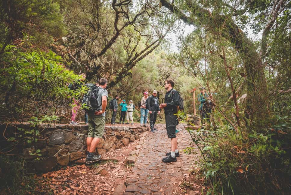 Madeira: Rabaçal Valley and the 25 Fountains Hike - Risco Waterfall: the 700-meter detour payoff
