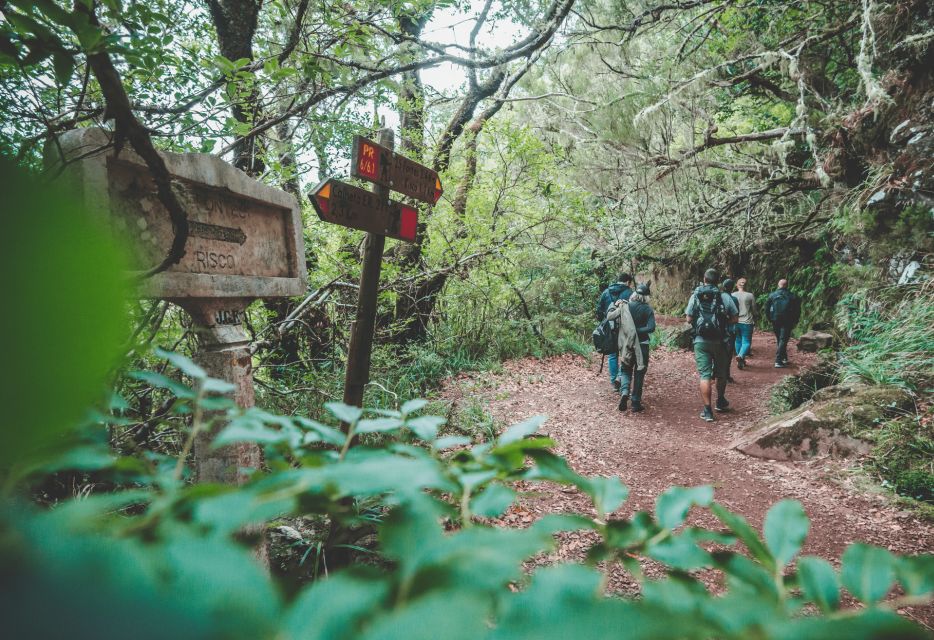 Madeira: Rabaçal Valley and the 25 Fountains Hike - Levada history and ecosystem talk: why the guide changes the hike