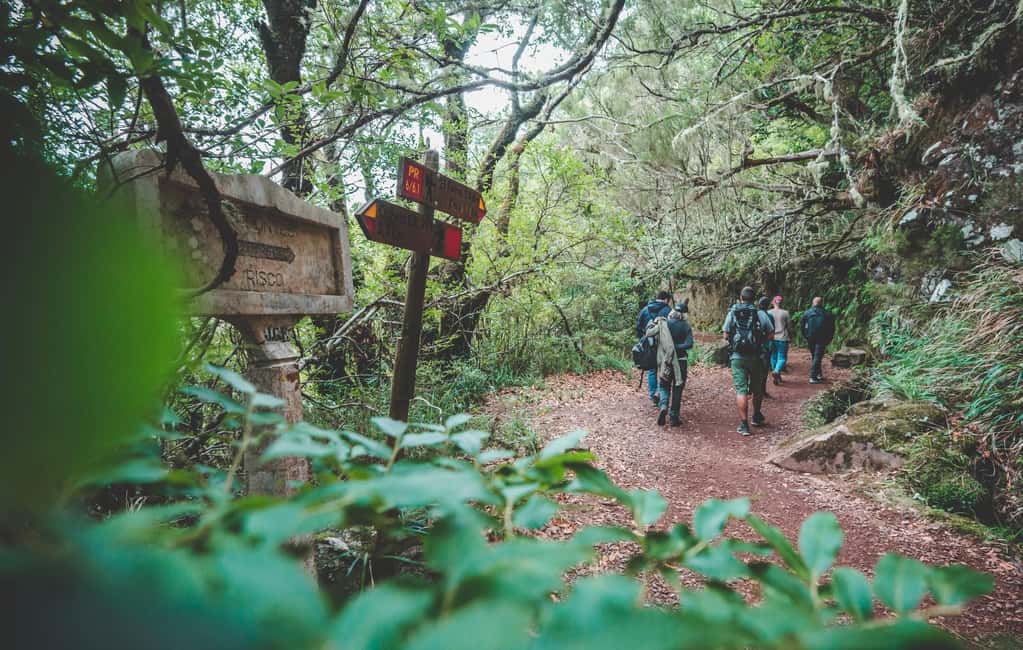 Madeira: Rabaçal Valley and the 25 Fountains Hike - Getting there from your hotel: what the day feels like