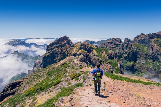 Madeira s highest Peaks - Birdlife spotting: a nature moment that doesn’t feel forced