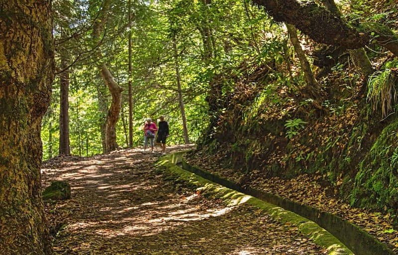 Madeira: Santana Jeep Safari and Referta Levada Walk - Price and value: what $72 buys you in Madeira time