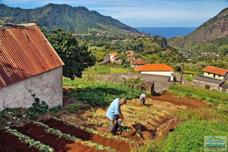 Madeira: Santana Jeep Safari and Referta Levada Walk - Porto da Cruz distillery: rum in the air, not just on the label