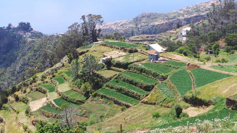 Madeira: Santana Jeep Safari and Referta Levada Walk - Ponta de São Lourenço: the driest, windiest finish line