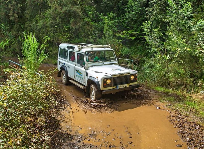 Madeira: Santana Jeep Safari and Referta Levada Walk - Guide energy and pacing: why the small-group feel matters