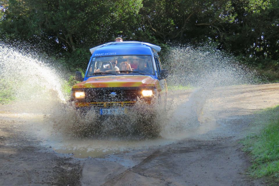 Madeira : Santana & Peaks full day tour by Open 4x4 - Should you book the Santana & Peaks Open 4x4 tour?