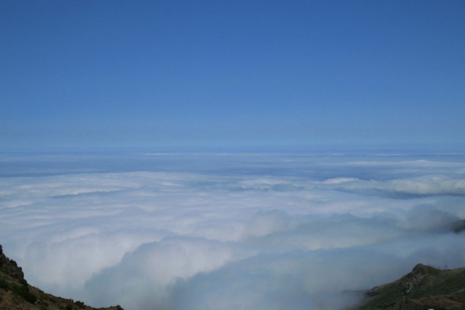 Madeira : Santana & Peaks full day tour by Open 4x4 - Ribeiro Frio at 1,818m: why the climb matters