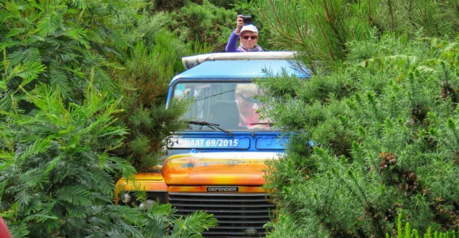 Madeira : Santo de Serra Local Farmers' Market half day trip - Open-top 4x4 off-road: fun with a few real tradeoffs