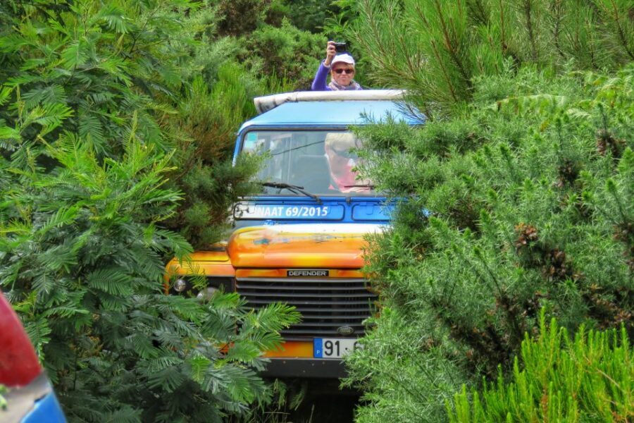 Madeira : Santo de Serra Local Farmers' Market half day trip - Christ the King viewpoint and the quick scenic stops