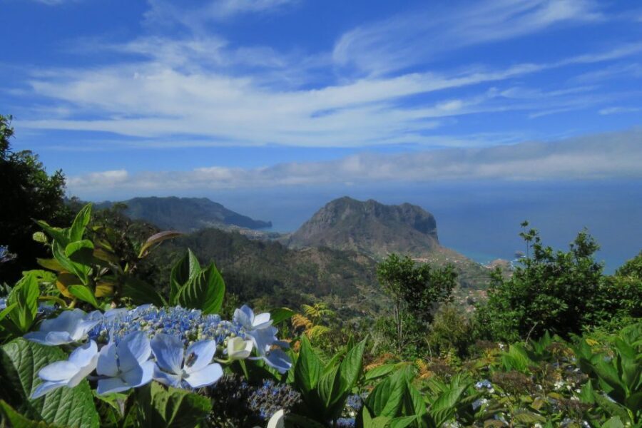 Madeira : Santo de Serra Local Farmers' Market half day trip - Morena and the steep-road side of Madeira