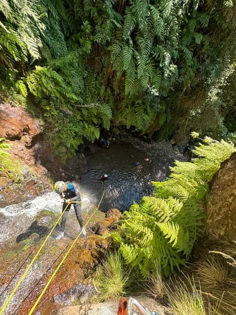 Madeira Short Canyoning For Beginners Rochão Level 1 - The Ecological Park of Funchal: where the canyoning feels close to Funchal but not crowded