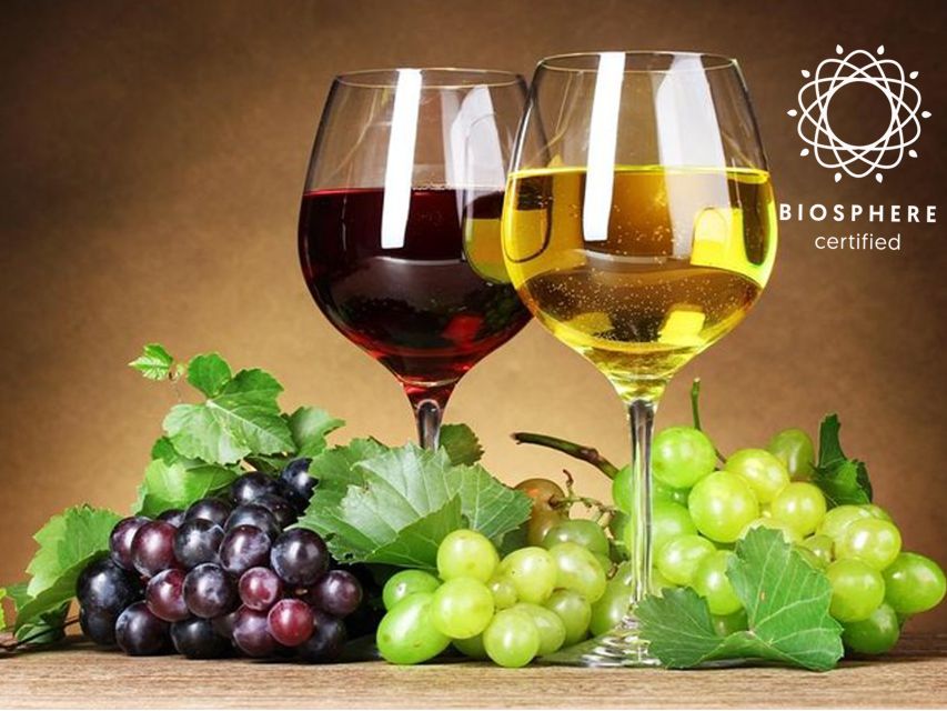 Madeira: Signature Wine Tasting, Skywalk & Nature Expedition - Henriques & Henriques Wine Lodge: Sweet and Dry by Age