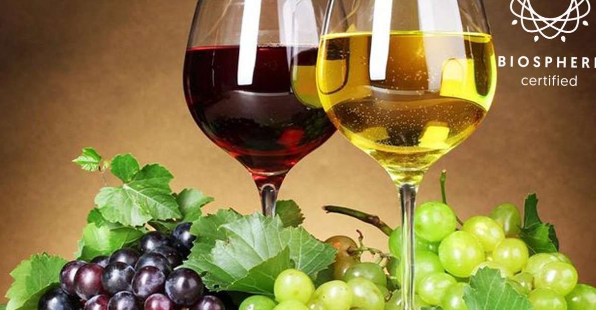 Madeira: Signature Wine Tasting, Skywalk & Nature Expedition - Starting in Funchal: Easy Pickup, Small-Group Vibes