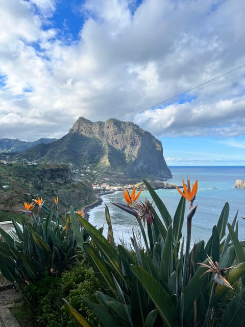 Madeira Stairway to Heaven to Larano Hike Mountain to Sea - Key highlights that make this day feel worth it