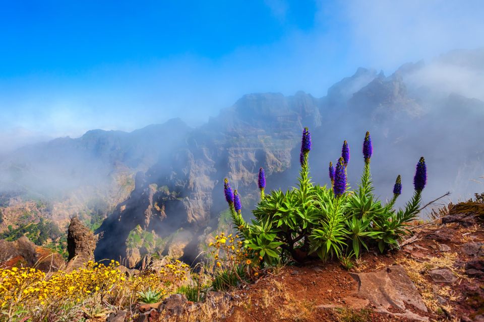 Madeira Stairway to Heaven to Larano Hike Mountain to Sea - The coffee break at a local café: how the morning stays enjoyable