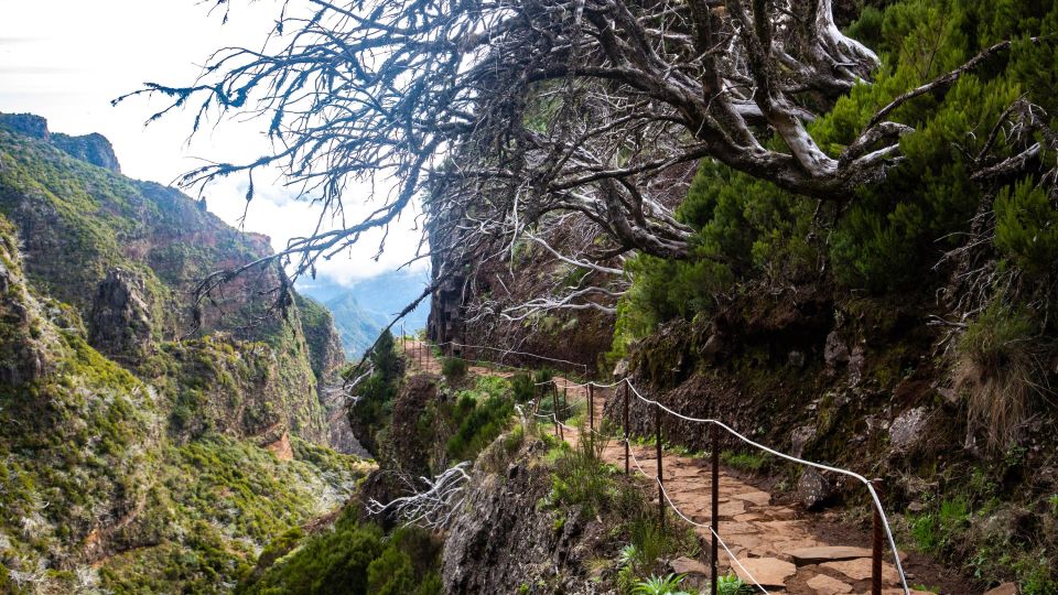 Madeira Stairway to Heaven to Larano Hike Mountain to Sea - Porto da Cruz and the poncha moment: ending with Madeira flavor