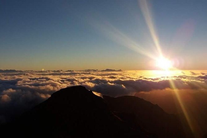 Madeira sunrise (Ponta de Sao Lourenco) Private tour - Price and logistics: whether $84.48 is a smart use of time