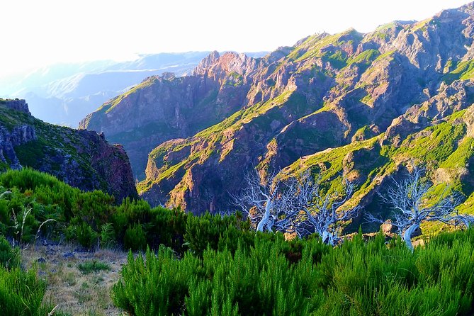 Madeira Top Sunrise - Carlos and the six-person climbing style