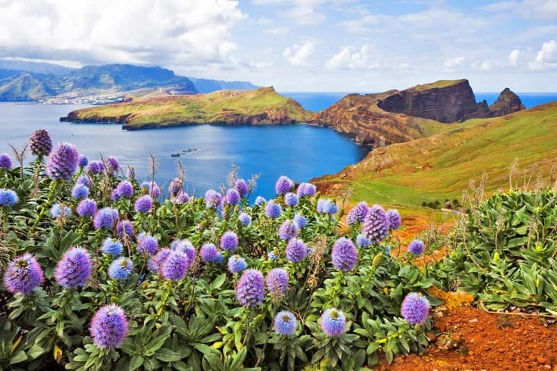 MADEIRA TOUR- SANTANA EAST TOUR STRAW THATCHED ROOFED HOUSES - Santana’s Thatch Roof Houses: The Cultural Anchor of the Day