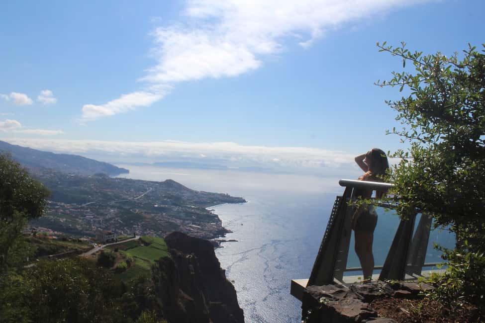 Madeira: Vineyard Tour w/ Wine Tasting & Skywalk - Vineyard Time: What the Tasting Experience Really Adds