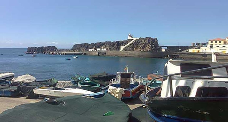 Madeira: Vineyard Tour w/ Wine Tasting & Skywalk - Câmara de Lobos: Fishing Village Stories, Monk Seals, and Poncha