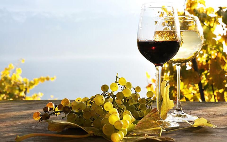 Madeira: Vineyard Tour w/ Wine Tasting & Skywalk - How the 4 Hours Works: Timing, Pickup, and Staying On Track
