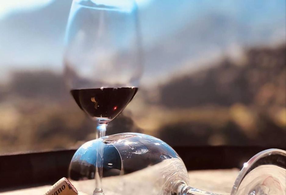 Madeira: Vineyard Tour w/ Wine Tasting & Skywalk - Weather and Walking Reality: Rain Plans and Mobility Notes