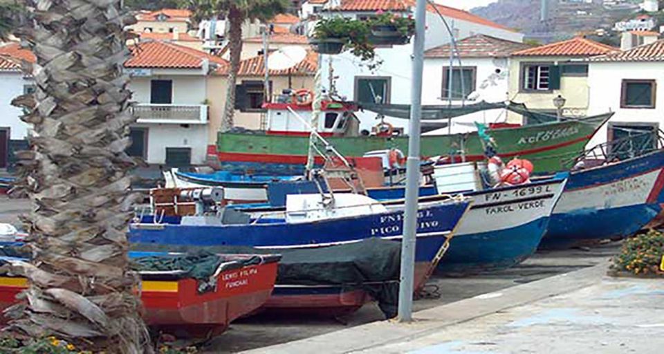 Madeira: Vineyard Tour w/ Wine Tasting & Skywalk - Who This Tour Suits Best (and Who Might Prefer Something Else)