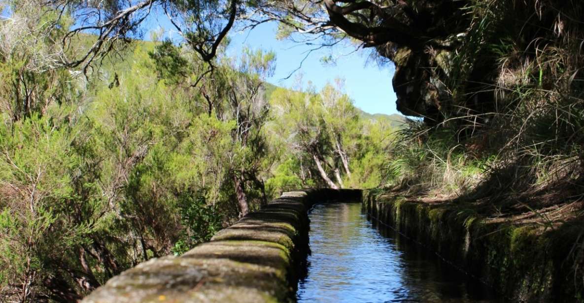 Madeira : Walking Tour-Rabaçal /25 Fontes - Entering the Laurissilva: the trail’s plant-forward personality