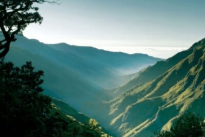 Madeira : Walking Tour-Rabaçal /25 Fontes - Your day at a glance: pickup, 4 hours of walking, back by 17:00