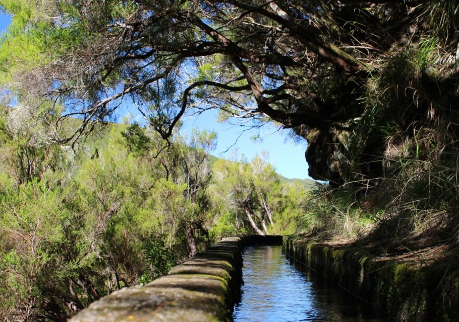 Madeira : Walking Tour-Rabaçal /25 Fontes - Weather and crowd reality check (so you plan smart)